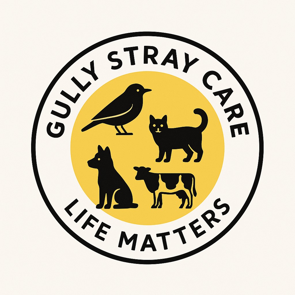 Gully Classes Foundation | Safaiyatra 2026 Mumbai